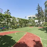 Sandy 시데